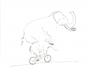 schnelle-Elefant